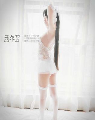 隋朝来客